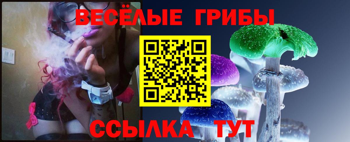 Псилоцибиновые грибы Magic Shrooms Ставрополь